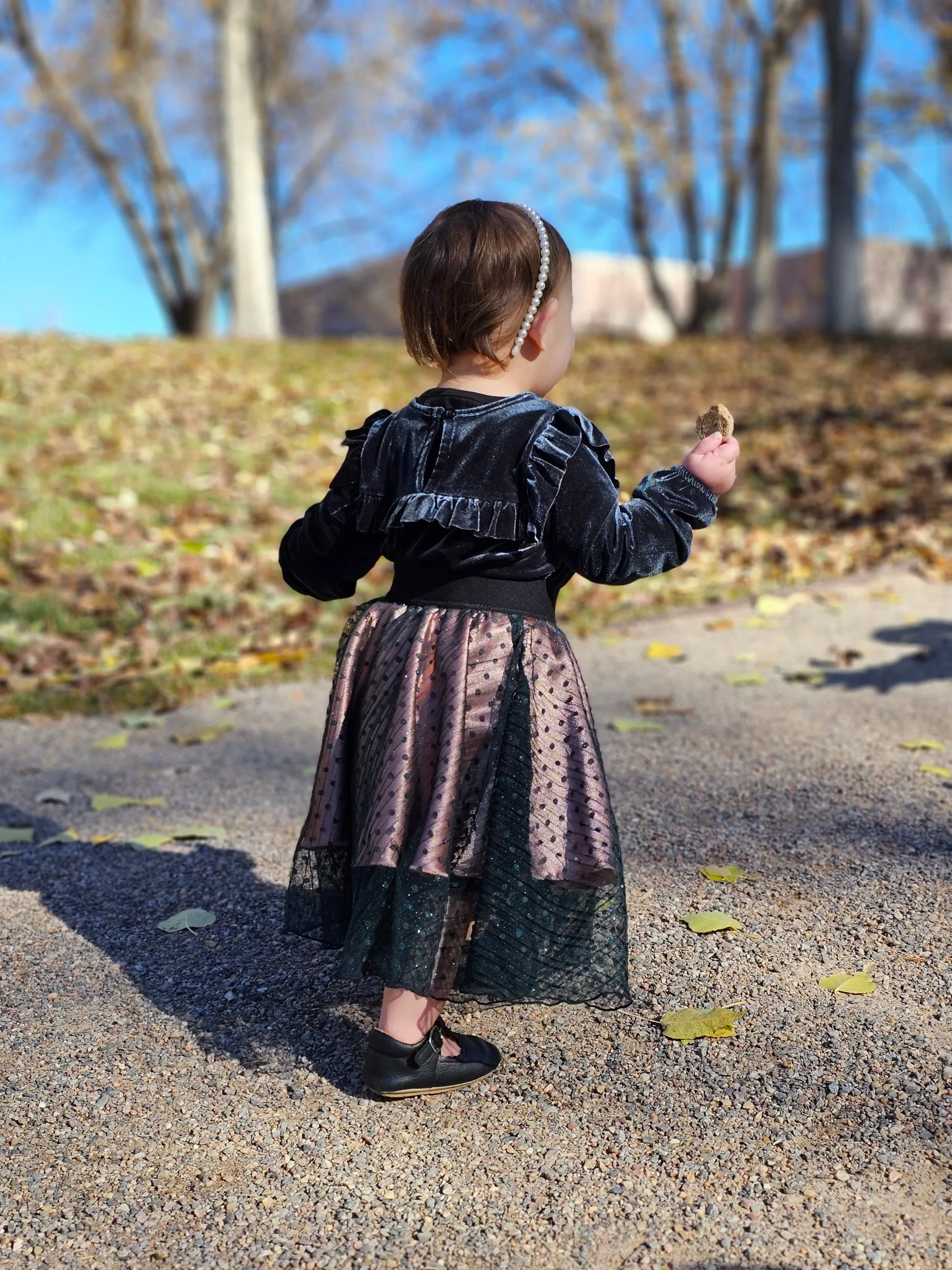 Enchanted Overlay Skirt (Childrens)