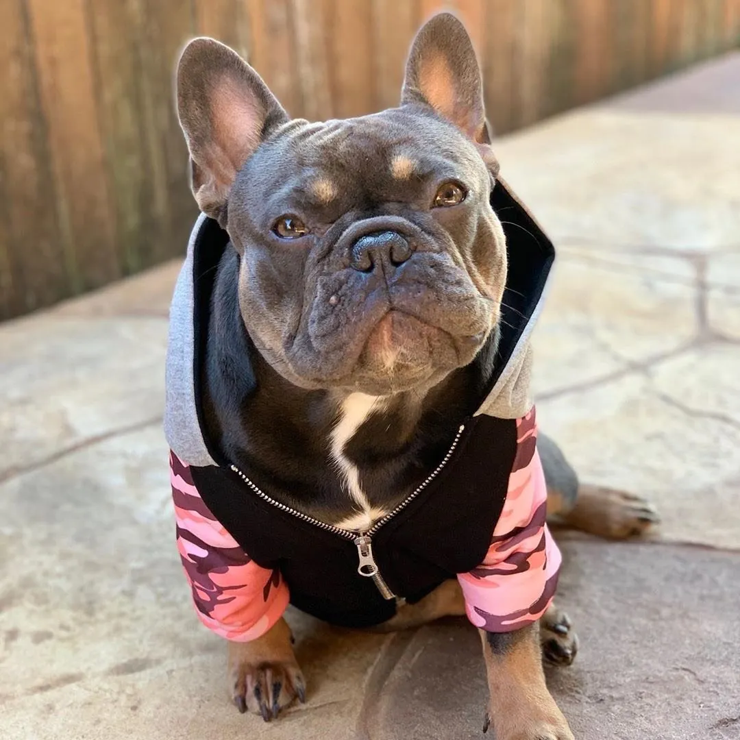 French Bulldog hoodie | Frenchie Clothing | Pink Ultimate Camo