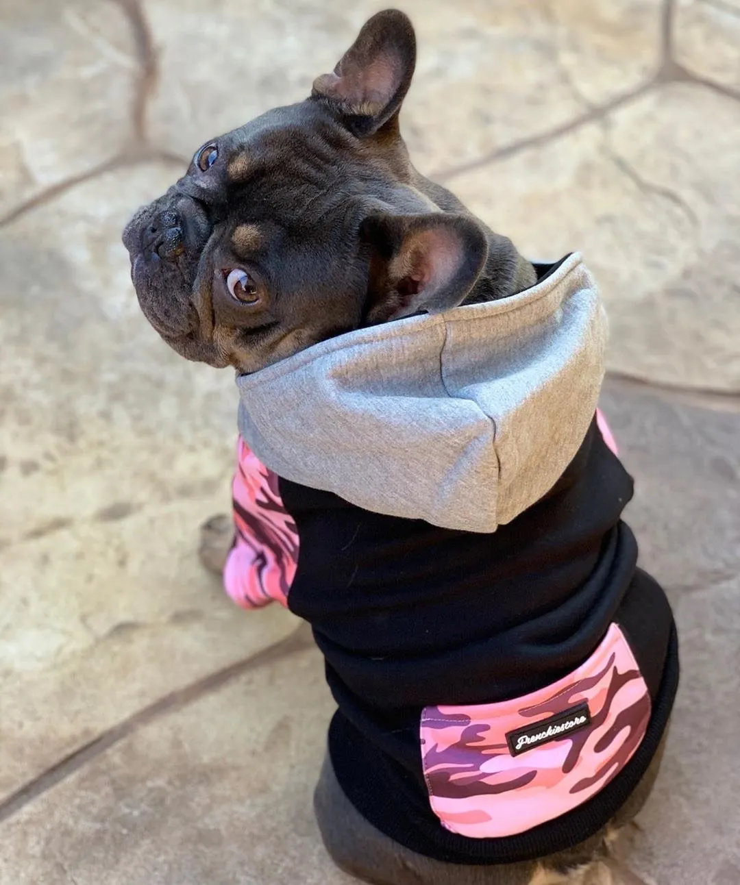 French Bulldog hoodie | Frenchie Clothing | Pink Ultimate Camo