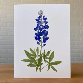 Lupine - Card