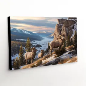 "Western Beauty" - Bighorn Sheep Canvas Print